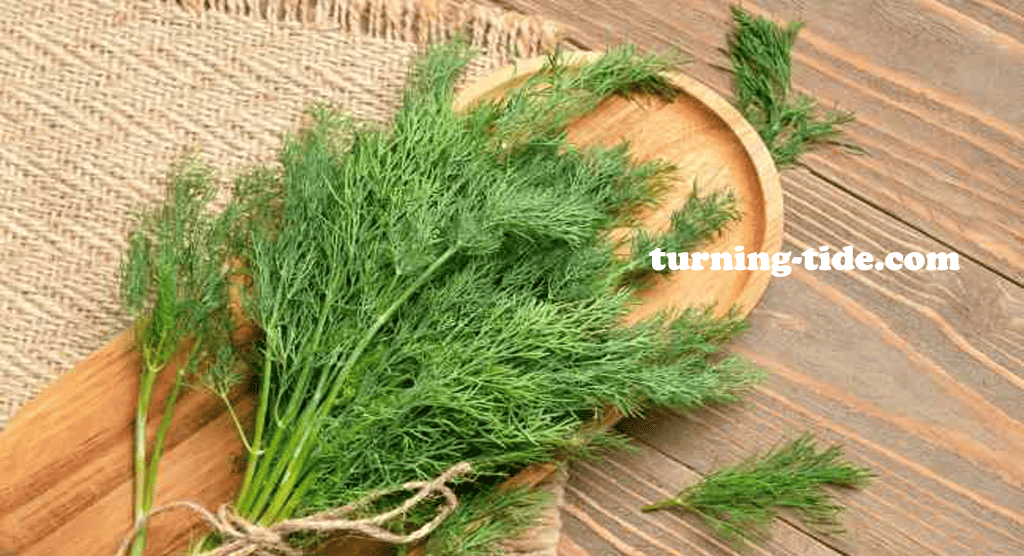 turning-tide