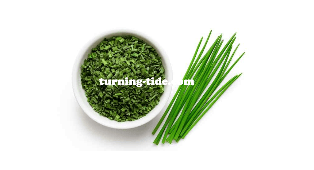 turning-tide