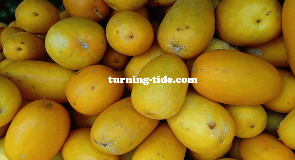 turning-tide